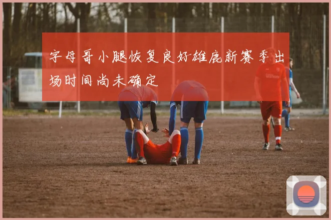 字母哥小腿恢复良好雄鹿新赛季出场时间尚未确定