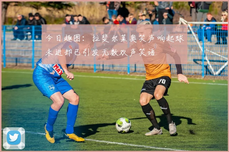 今日趣图：拉斐尔莱奥笑声响起球未进却已引发无数欢声笑语