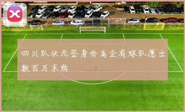 四川队状元签身价高企有球队愿出数百万求购