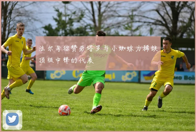法尔考称赞劳塔罗与小蜘蛛为稀缺顶级中锋的代表